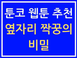 툰코 옆자리 짝꿍의 비밀